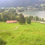 Blick auf den Alpsee