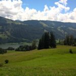 Blick auf den großen Alpsee