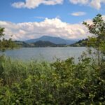 Blick auf den großen Alpsee
