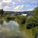Wiese am Großen Alpsee