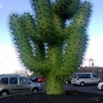 Eiserner Kaktus am Eingang zum "Jardin de Cactus"