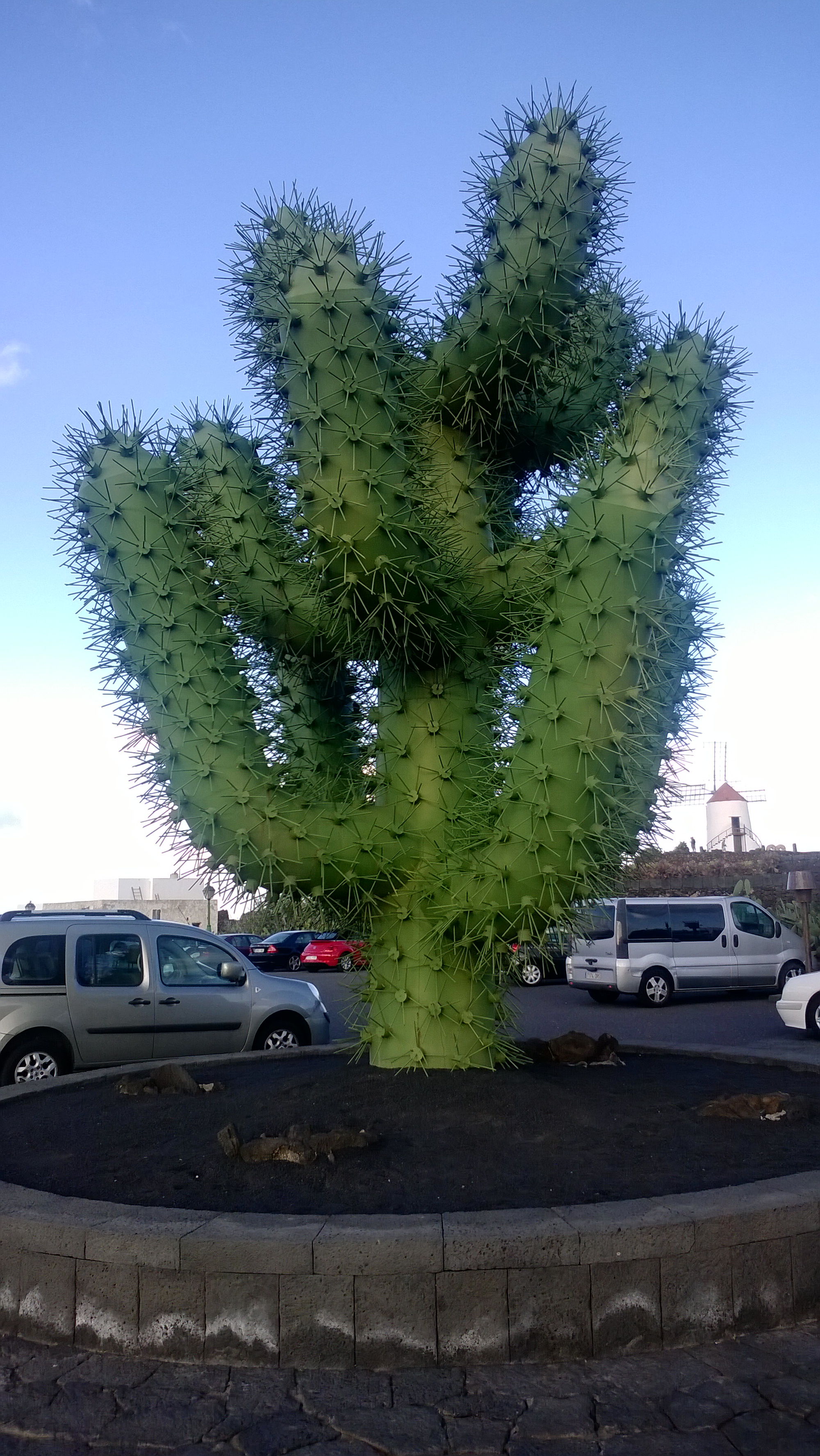 Eiserner Kaktus am Eingang zum "Jardin de Cactus"