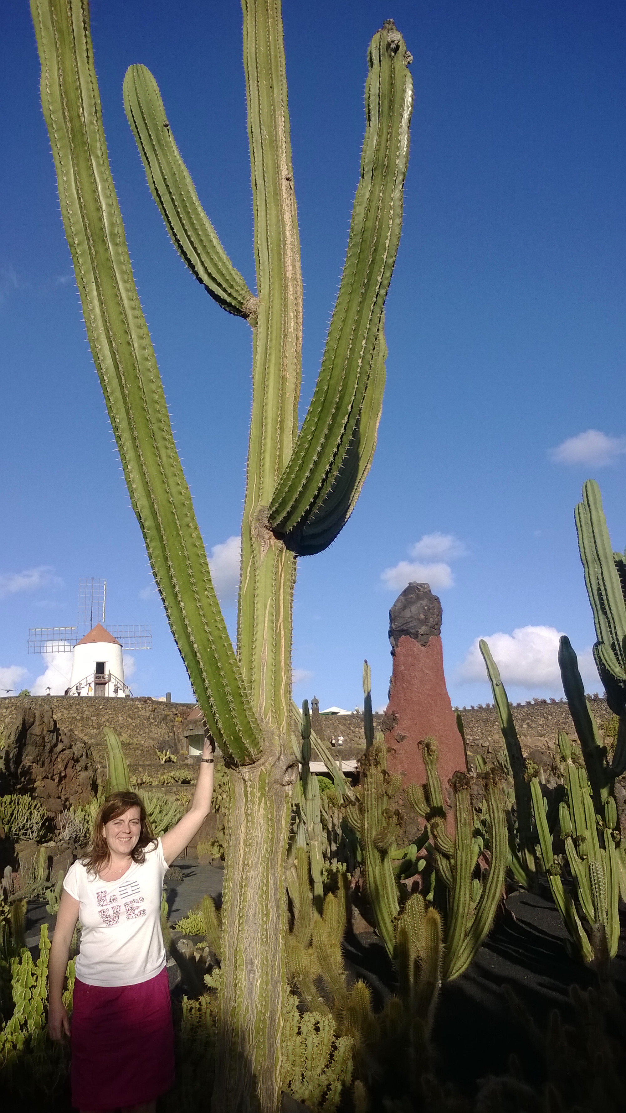 Höchster Kaktus im Kaktusgarten