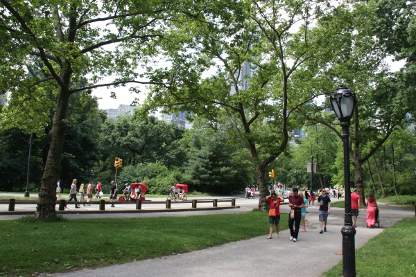 Joggen und Laufen im Central Park