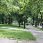 Wege im Central Park