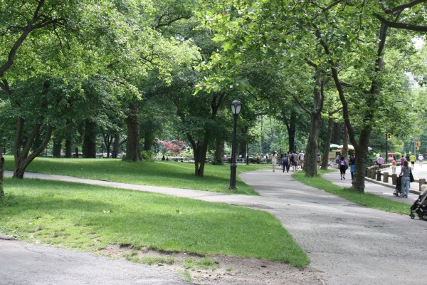 Wege im Central Park