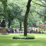 Bäume und Freiflächen im Central Park