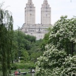 Central Park und Zwillingstürme San Remo