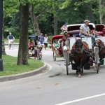 Pferdekutschen im Central Park