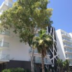 Hotel Riu San Francisco nach Renovierung