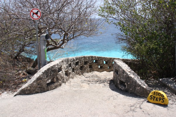 Tauchplatz 1.000 Steps auf Bonaire