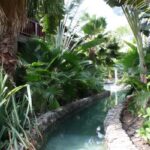 Garten im Kontiki Beach Resort Curacao