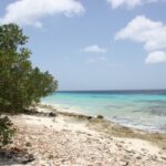 Strand auf Bonaire