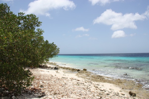 Strand auf Bonaire