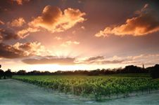 Swan Valley - Westaustraliens ältestes Weinanbaugebiet