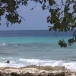 Tauchen und Schnorcheln rund um Bonaire