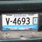 Flamingos auf dem KFZ-Kennzeichen