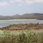 Gotomeer - Flamingo-Gebiet auf Bonaire