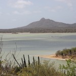 Gotomeer als Brutstätte für Flamingos im Norden von Bonaire
