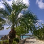Promenade im Plaza Resort Bonaire