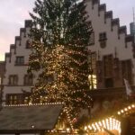 Weihnachtsbaum bei Tag