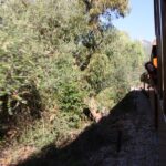 Blick aus dem fahrenden Zug