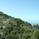 Wälder in den Bergen bei Sa Calobra