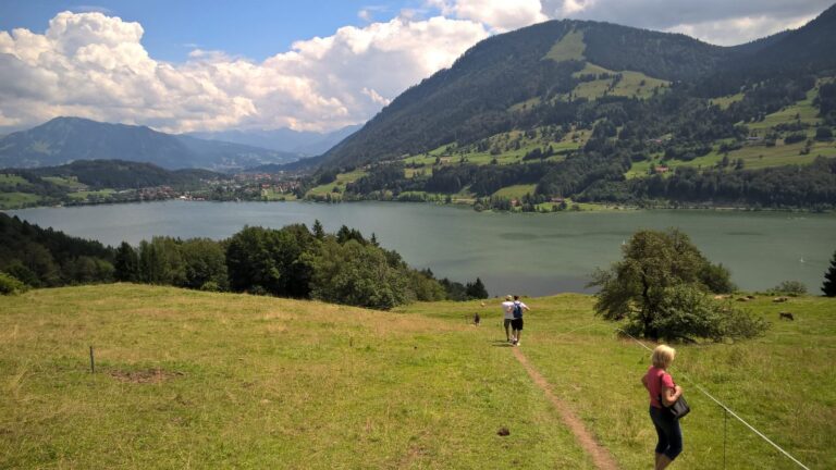 Wanderwege über Kuhwiesen