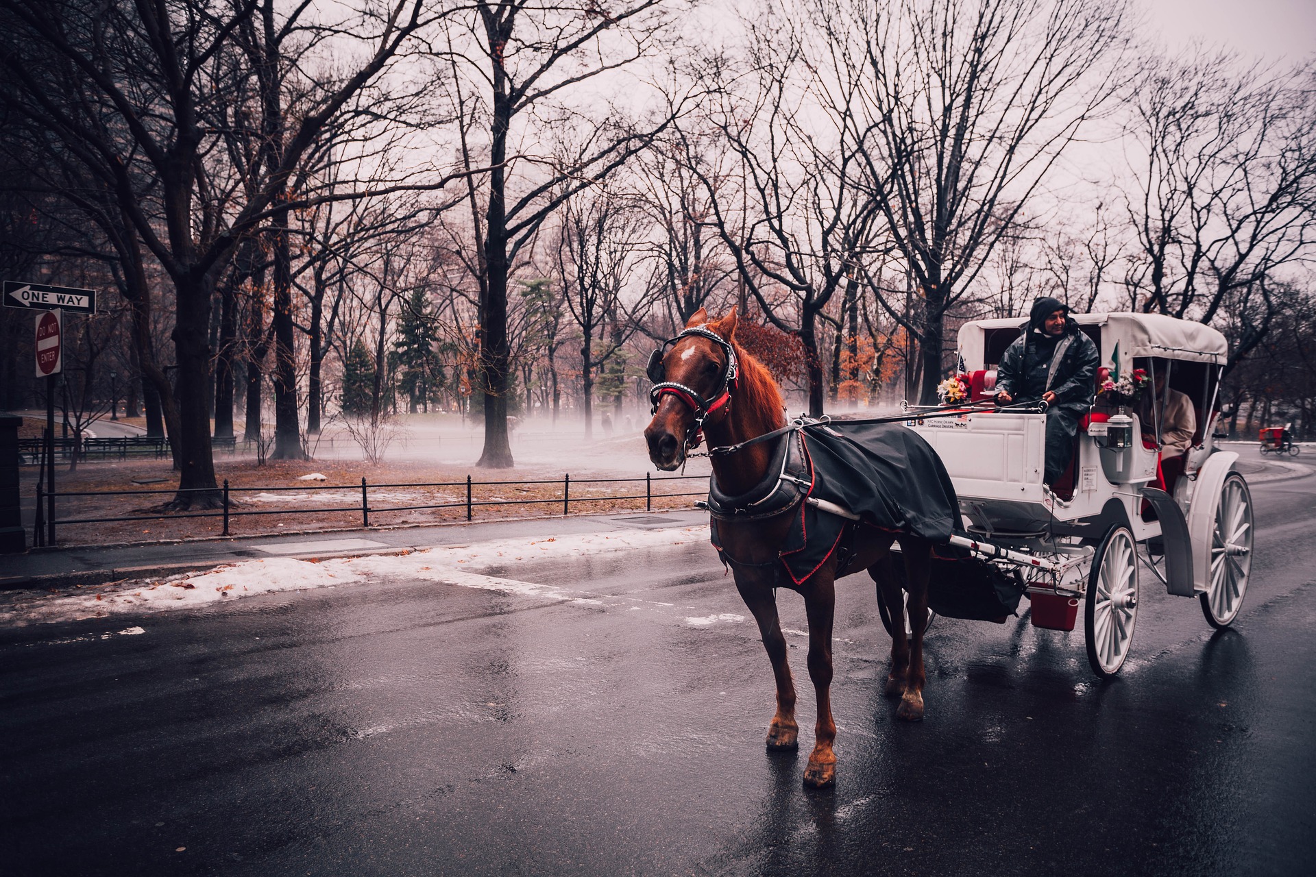 Eine romantische Kutschfahrt im Central Park bietet sich im Februarwetter an